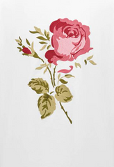 Kaos Pendek DIOR dengan Motif Gambar/Cetak, Cocok untuk Pria dan Wanita -D-21