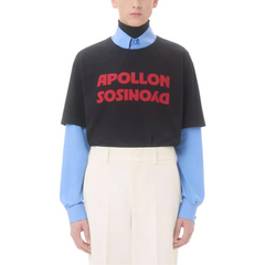 Kaos Pendek LOEWE dengan Motif Gambar/Cetak, Cocok untuk Pria dan Wanita -LE-26